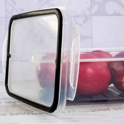 Pote Porta Frios C/ Escorredor Tampa C/ Travas 2 Divisórias Cor Transparente Plasútil Presunto Queijo Muçarela